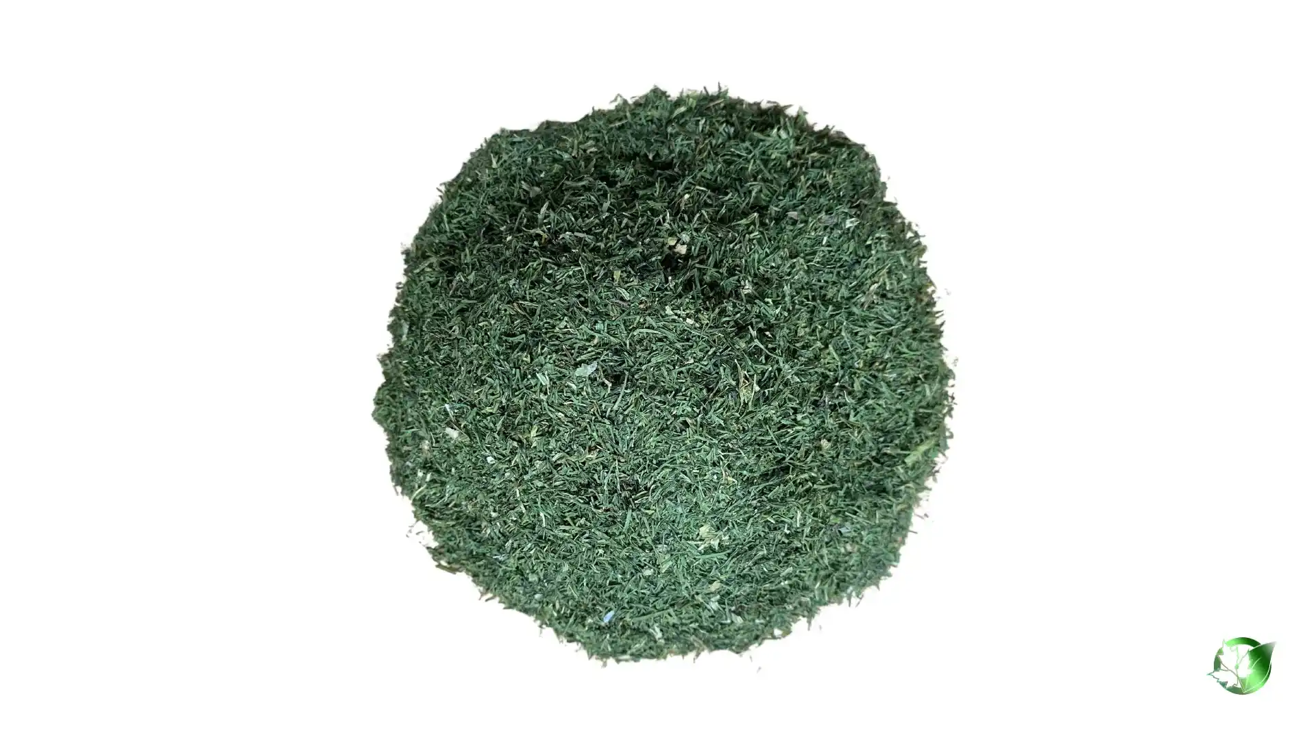 Bulk Dried Dill | Suppliers | Wholesale | ParsaFood Global